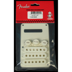 Fender Strat Accessory Kit-Parchment 0991395000