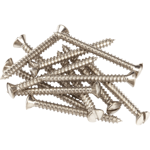 Fender Pure Vintage Slotted Telecaster® Neck Mounting Screws, Nickel (12) 0018369049