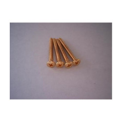 Fender Gold Neck Mounting Screws, Set of Four 0018785049