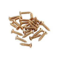 Fender Pickguard Screws, Gold, Two Dozen, 0994924000