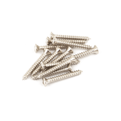 Jaguar Jazzmaster Tremolo Mounting Screws, 12 Fender  0015610049