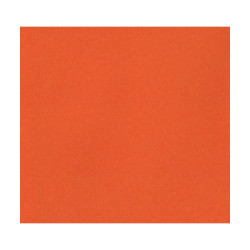 Sunset Orange Nitrocellulose Lacquer 400g Spray Can NSSO